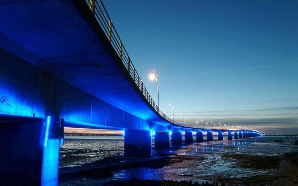 Mer A 200M,,Ds Les Mimosas En Fleur ! Ronce-les-Bains Exteriér fotografie